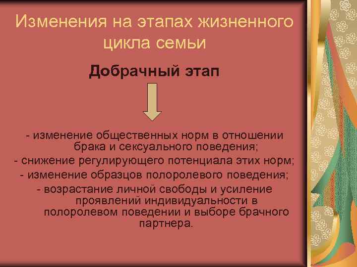 Изменения на этапах жизненного цикла семьи Добрачный этап - изменение общественных норм в отношении