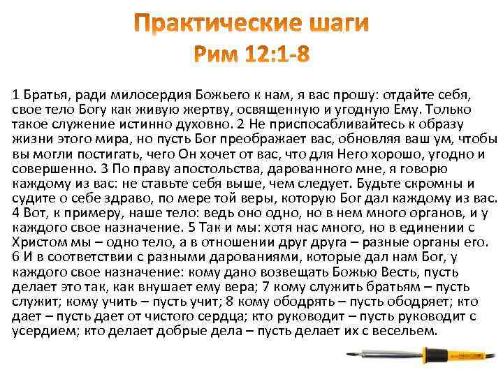 1 Братья, ради милосердия Божьего к нам, я вас прошу: отдайте себя, свое тело