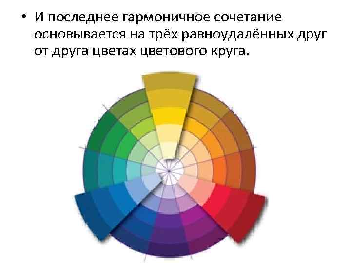 Пропорция цветов. Цветовой круг сочетание цветов на клумбе. Сочетание цветов в цветнике по цветовому кругу. Цветовая Гармония в клумбе. Композиции цветников по цветовому кругу.