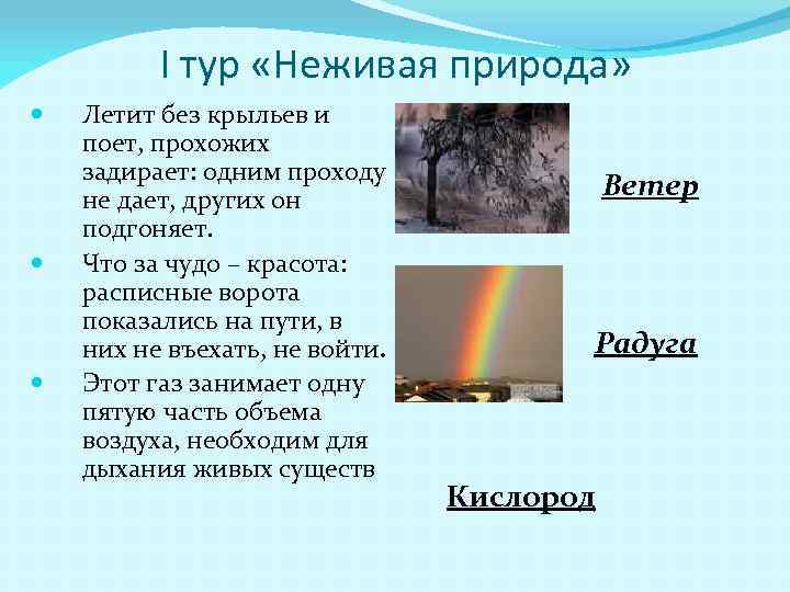 I тур «Неживая природа» Летит без крыльев и поет, прохожих задирает: одним проходу не