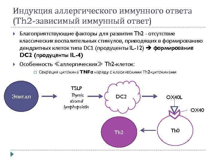 Схема th1 ответа