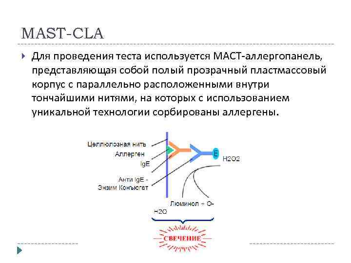 MAST-CLA Для проведения теста используется МAСT-аллергопанель, представляющая собой полый прозрачный пластмассовый корпус с параллельно