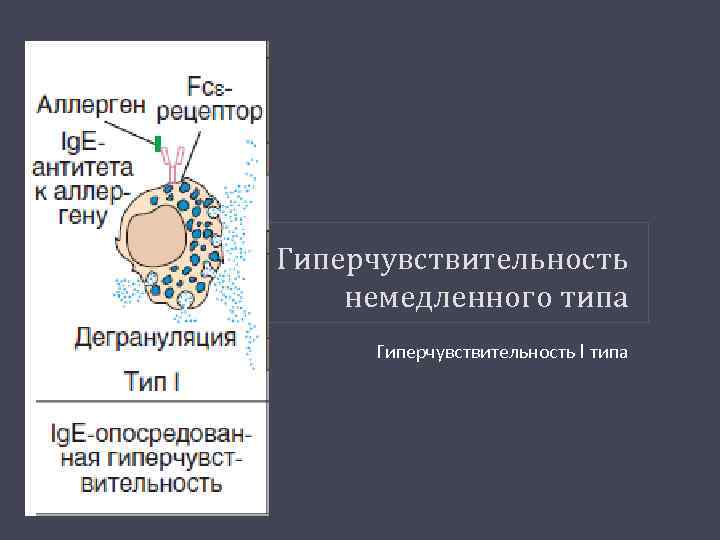 Гиперчувствительность немедленного типа Гиперчувствительность I типа 