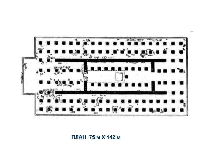 ПЛАН 75 м Х 142 м 