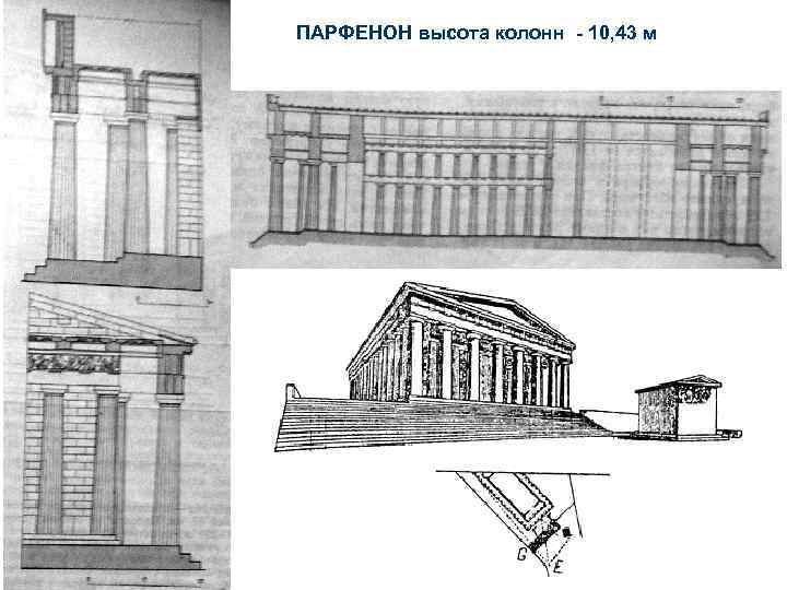 ПАРФЕНОН высота колонн - 10, 43 м 