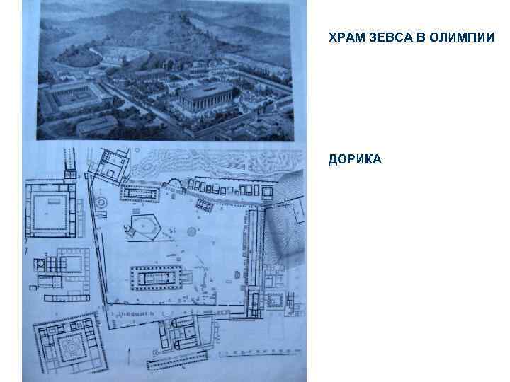 ХРАМ ЗЕВСА В ОЛИМПИИ ДОРИКА 