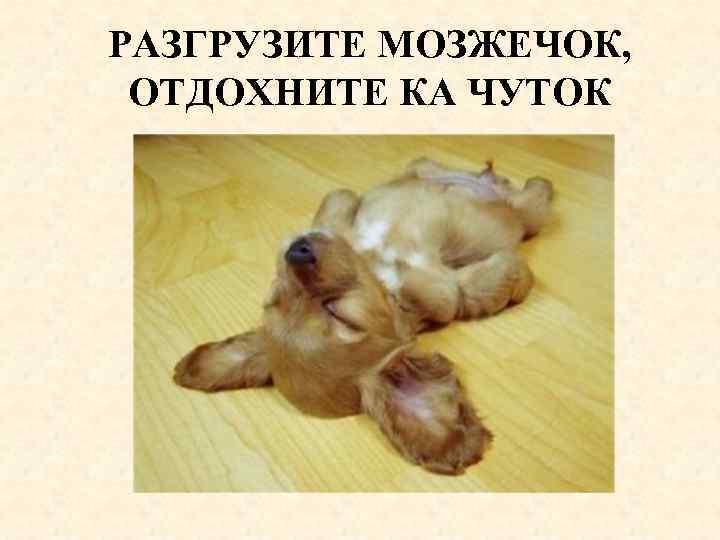 PАЗГРУЗИТЕ МОЗЖЕЧОК, ОТДОХНИТЕ КА ЧУТОК 