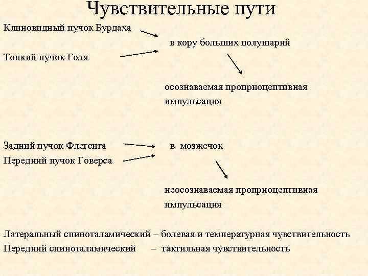 Чувствительные пути Клиновидный пучок Бурдаха в кору больших полушарий Тонкий пучок Голя осознаваемая проприоцептивная