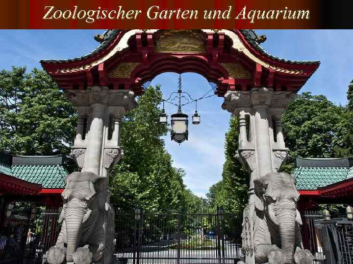 Zoologischer Garten und Aquarium 