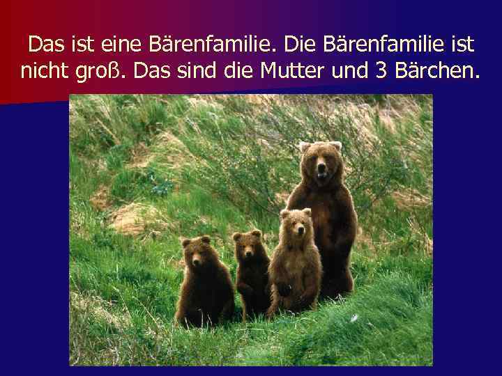 Das ist eine Bärenfamilie. Die Bärenfamilie ist nicht groß. Das sind die Mutter und