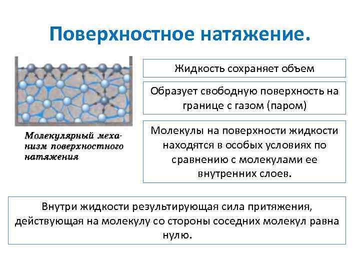 Поверхностное натяжение. Жидкость сохраняет объем Образует свободную поверхность на границе с газом (паром) Молекулы