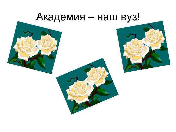 Академия – наш вуз! 