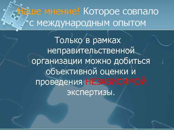 Наше мнение! Которое совпало с международным опытом Только в рамках неправительственной организации можно добиться