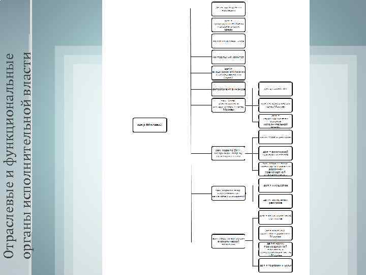 Отраслевые и функциональные органы исполнительной власти 