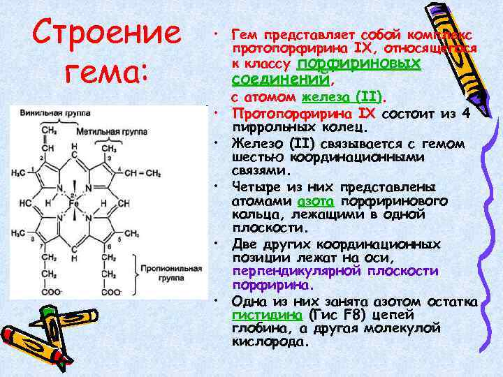 Сложные белки примеры