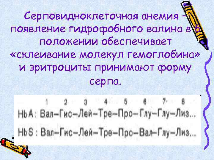 Серповидноклеточная анемия – появление гидрофобного валина в 6 положении обеспечивает «склеивание молекул гемоглобина» и