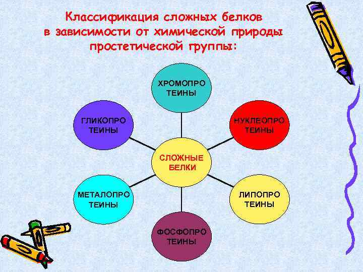 Классификация сложных белков в зависимости от химической природы простетической группы: ХРОМОПРО ТЕИНЫ НУКЛЕОПРО ТЕИНЫ