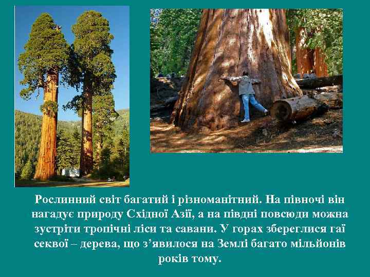 Рослинний світ багатий і різноманітний. На півночі він нагадує природу Східної Азії, а на