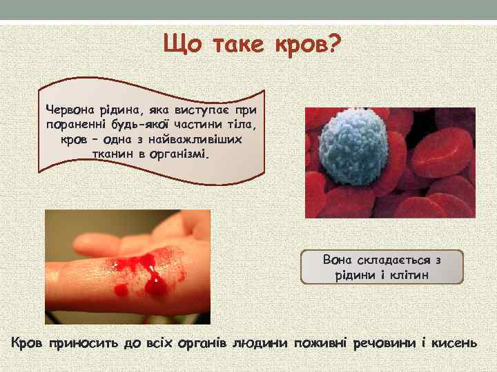 Що таке кров? Червона рідина, яка виступає при пораненні будь-якої частини тіла, кров –