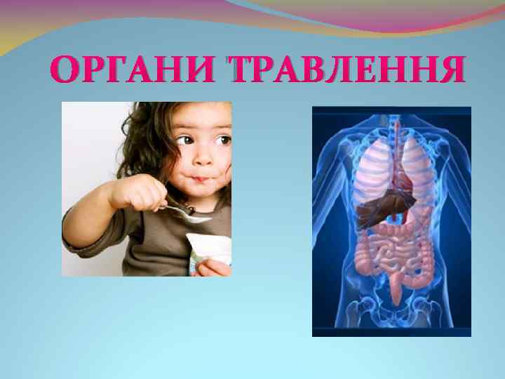 ОРГАНИ ТРАВЛЕННЯ 