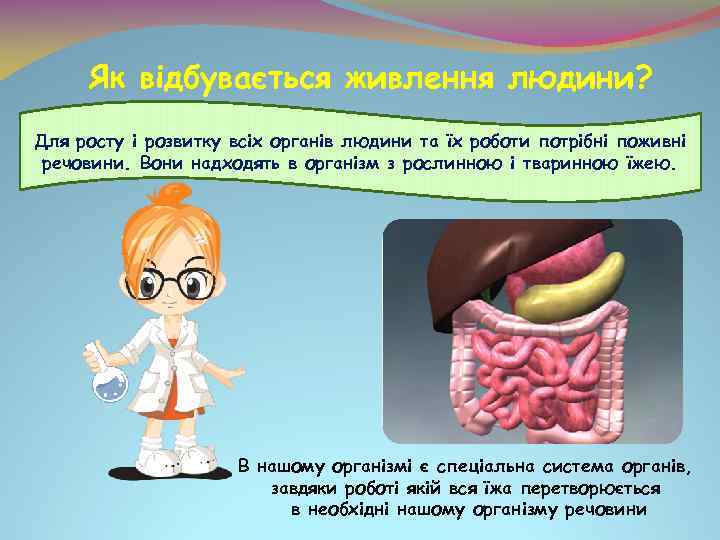 Як відбувається живлення людини? Для росту і розвитку всіх органів людини та їх роботи