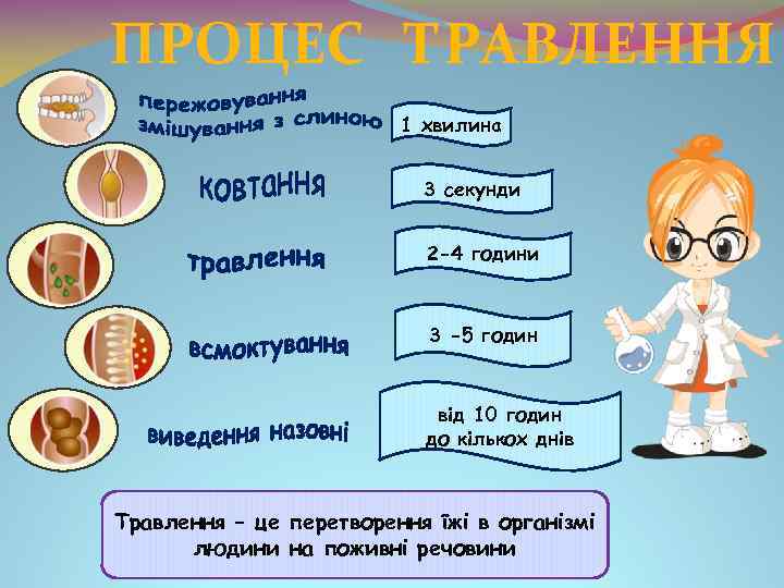 ПРОЦЕС ТРАВЛЕННЯ 1 хвилина 3 секунди 2 -4 години 3 -5 годин від 10