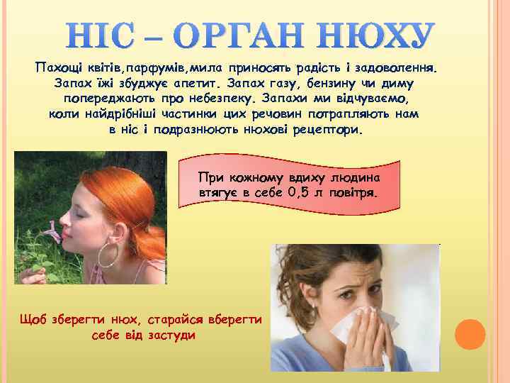 НІС – ОРГАН НЮХУ Пахощі квітів, парфумів, мила приносять радість і задоволення. Запах їжі