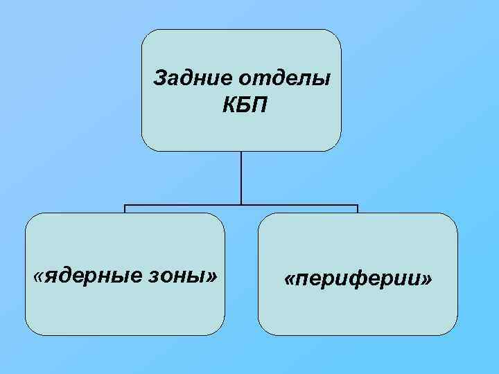 Задние отделы КБП «ядерные зоны» «периферии» 