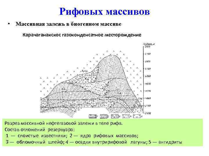 Рифовых массивов • Массивная залежь в биогенном массиве Карачаганакскос газоконденсатное месторождение Разрез массивной нефтегазовой