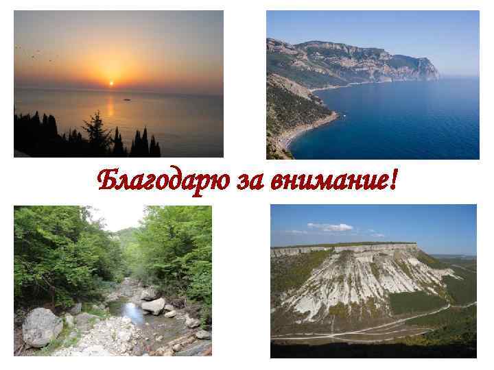 Благодарю за внимание! 