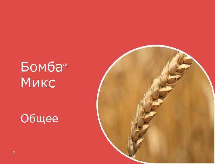 Гербицид Бомба Микс Общее 2 ® 