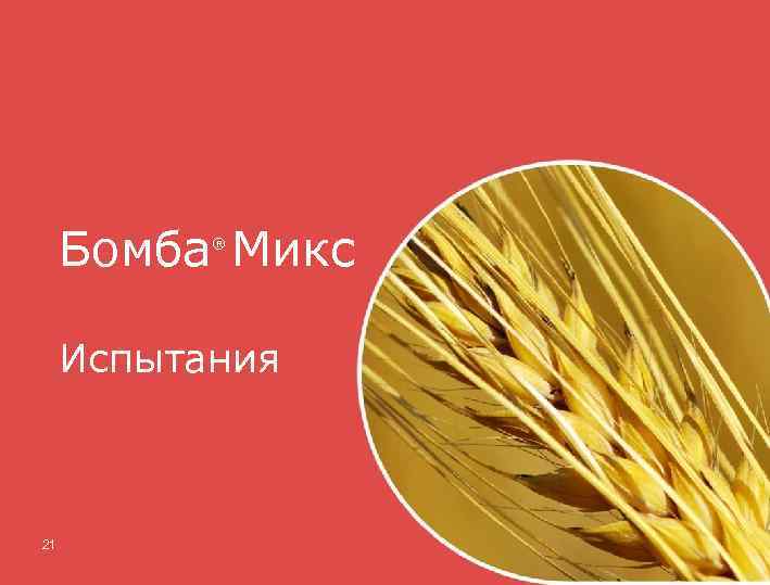 Гербицид Бомба Микс ® Испытания 21 