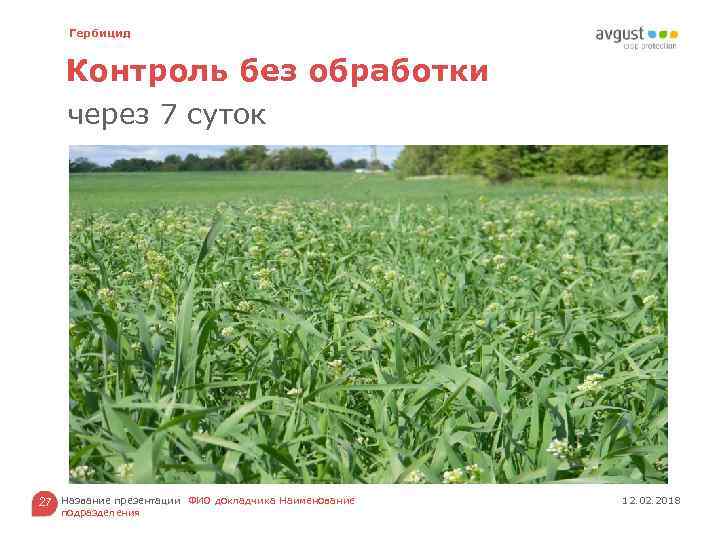 Гербицид Контроль без обработки через 7 суток 27 Название презентации ФИО докладчика Наименование подразделения