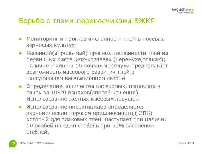 Борьба с тлями-переносчиками ВЖКЯ ● Мониторинг и прогноз численности тлей в посевах зерновых культур: