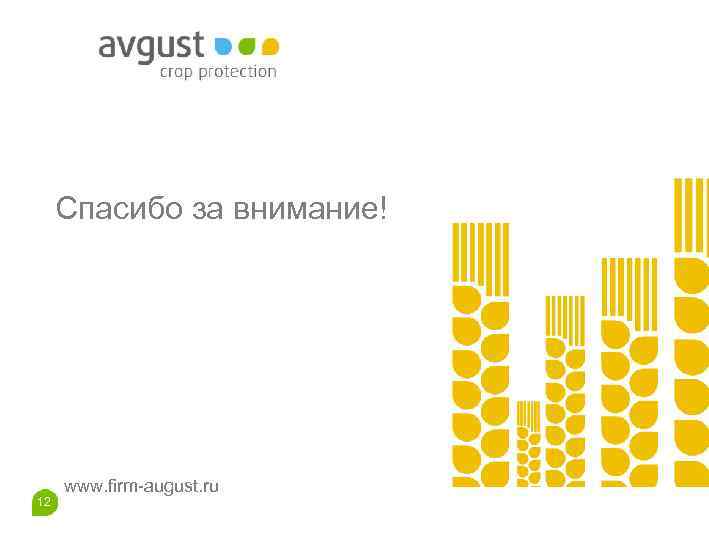Спасибо за внимание! 12 www. firm-august. ru 