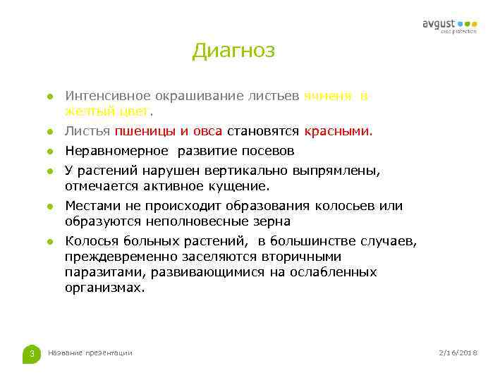 Диагноз ● Интенсивное окрашивание листьев ячменя в желтый цвет. ● Листья пшеницы и овса