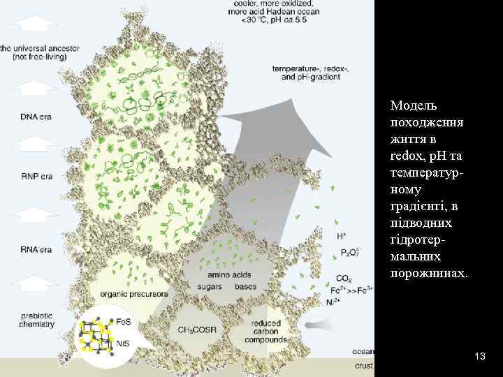 Модель походження життя в redox, p. H та температурному градієнті, в підводних гідротермальних порожнинах.