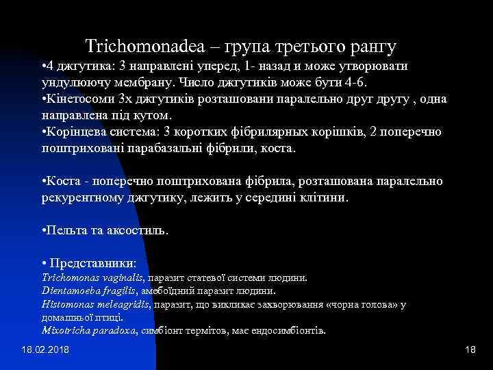 Trichomonadea – група третього рангу • 4 джгутика: 3 направлені уперед, 1 - назад