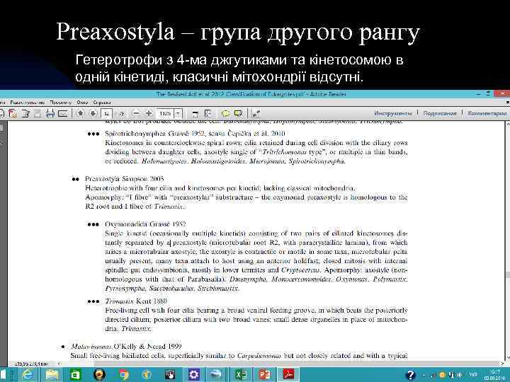 Preaxostyla – група другого рангу Гетеротрофи з 4 -ма джгутиками та кінетосомою в одній