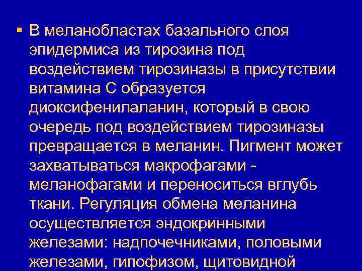 § В меланобластах базального слоя эпидермиса из тирозина под воздействием тирозиназы в присутствии витамина