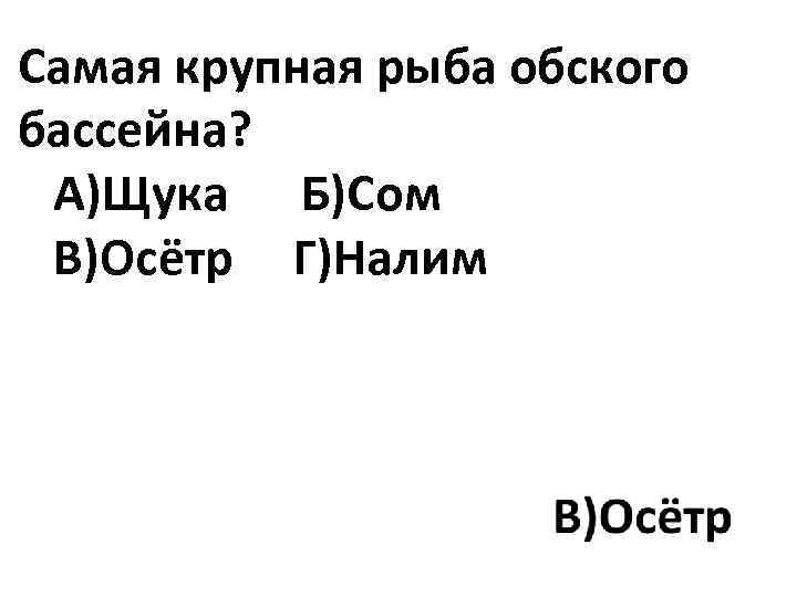 Самая крупная рыба обского бассейна? А)Щука Б)Сом В)Осётр Г)Налим 