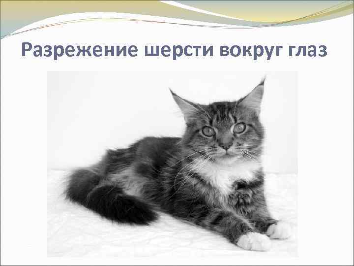 Разрежение шерсти вокруг глаз 