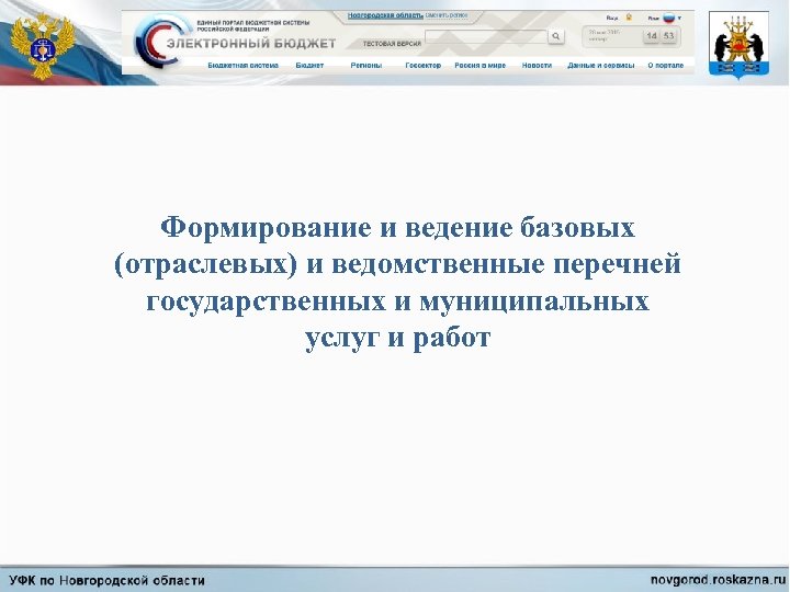 Формирование и ведение базовых (отраслевых) и ведомственные перечней государственных и муниципальных услуг и работ