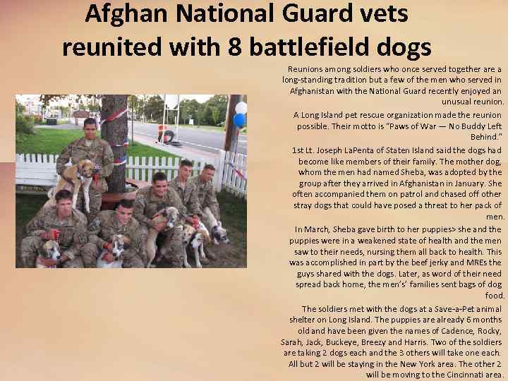 Afghan National Guard vets reunited with 8 battlefield dogs Reunions among soldiers who once