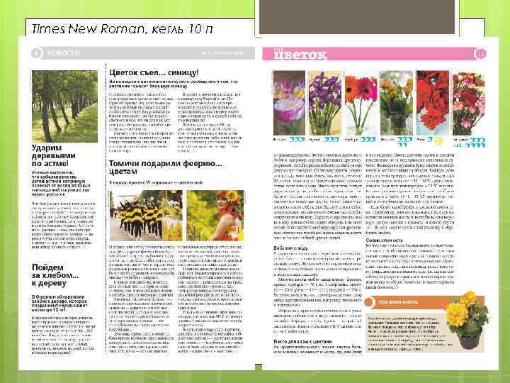 Times New Roman, кегль 10 п 