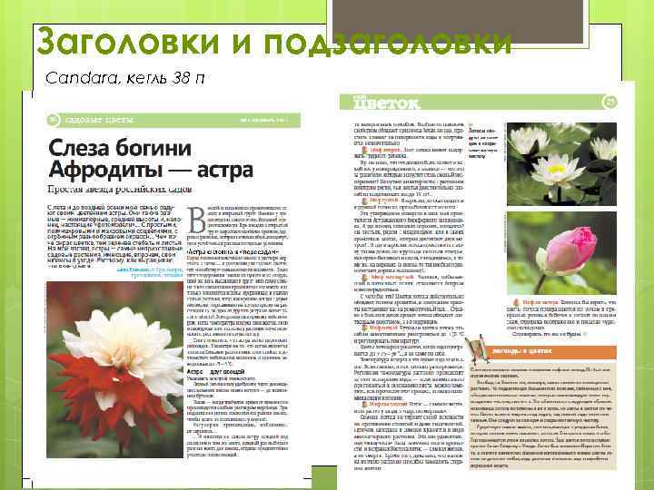 Заголовки и подзаголовки Candara, кегль 38 п 