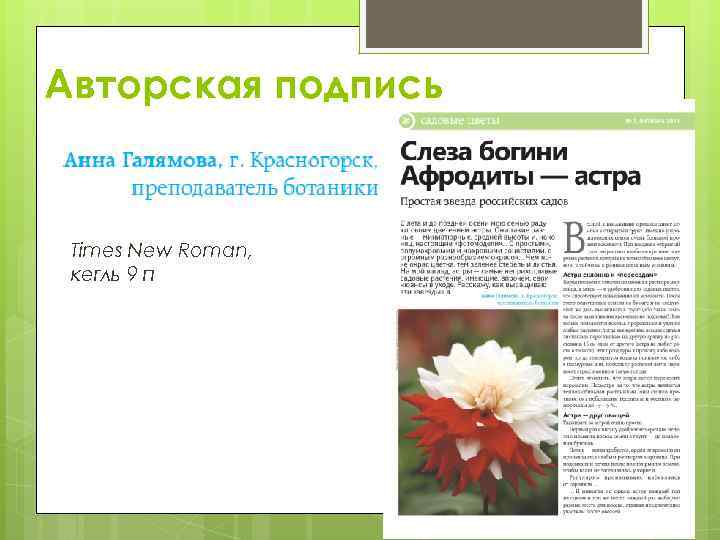 Авторская подпись Times New Roman, кегль 9 п 