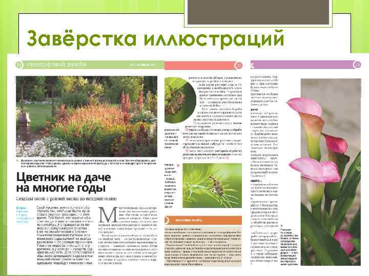 Завёрстка иллюстраций 