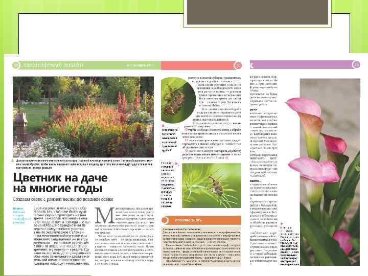 Подрисуночные подписи 