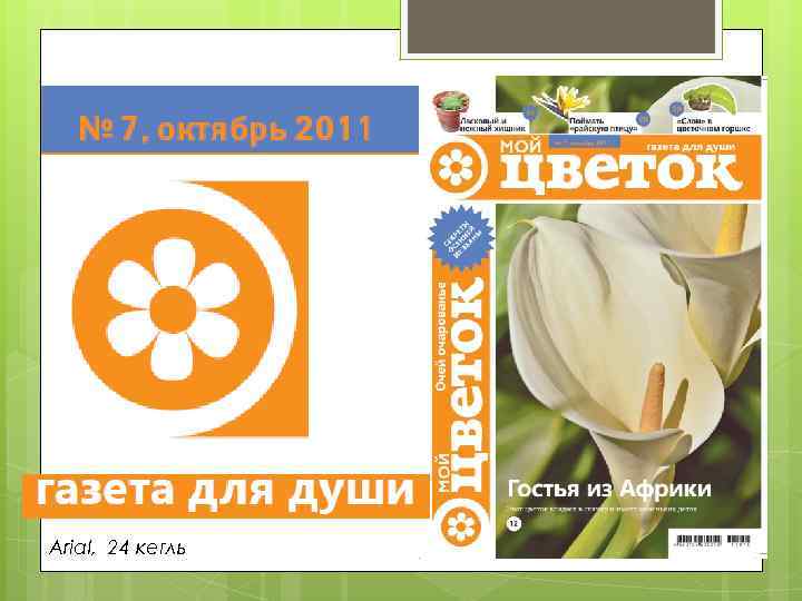 Arial, 24 кегль 